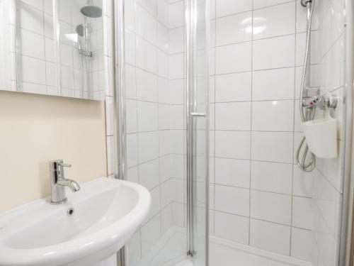 贝图瑟科伊德Bryn Dedwydd Cottage的白色的浴室设有水槽和淋浴。