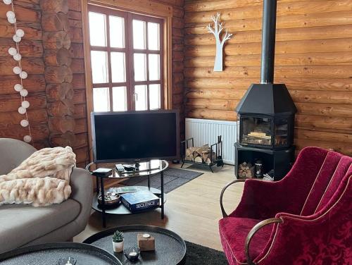 BlaskogabyggoCosy cabin with amazing view on the Geysir的客厅设有壁炉和炉灶。