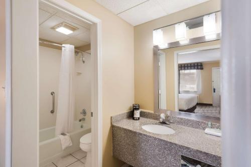康威贝斯维斯特康威酒店的一间带水槽、卫生间和镜子的浴室