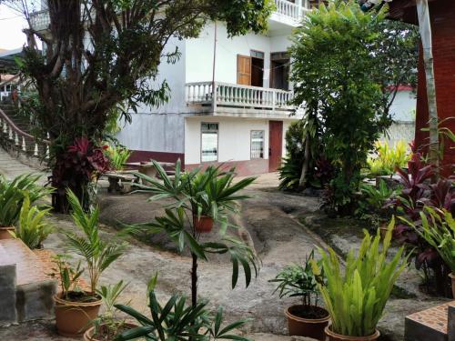 孟丰沙湾孔基欧旅馆的植物群前的花园