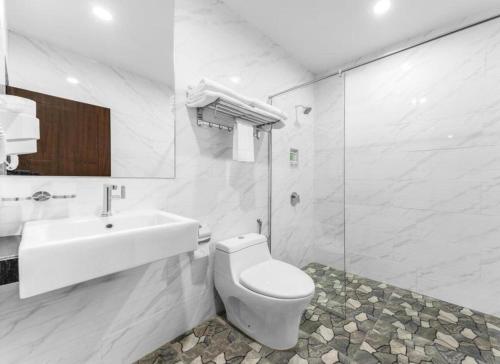 梳邦再也U3酒店的白色的浴室设有卫生间和水槽。