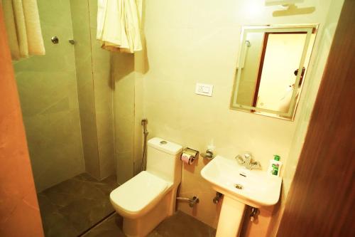 瓦拉纳西Anand Kanan的一间带水槽、卫生间和镜子的浴室