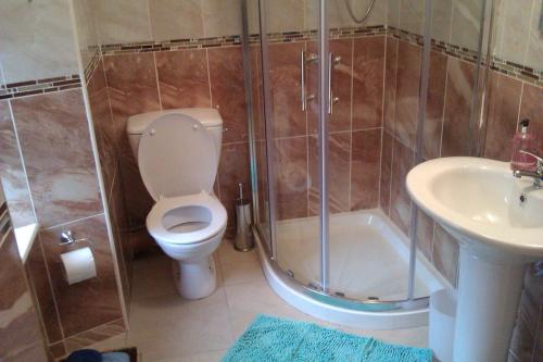 格伦蒂斯Bridge House的浴室配有卫生间、淋浴和盥洗盆。