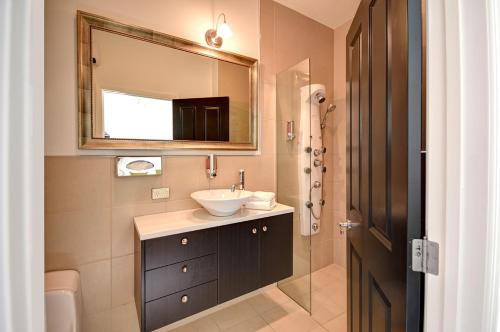 但尼丁礼拜堂公寓酒店的一间带水槽和镜子的浴室