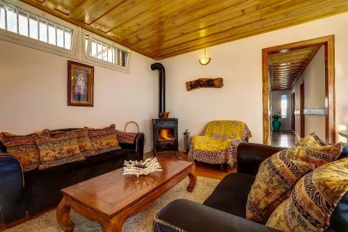 勒唐蓬Les Terrasses du Volcan的带沙发和燃木炉的客厅