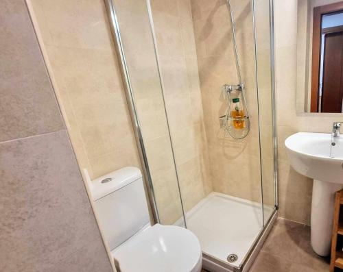巴罗德亚尼斯Apartamento Vacacional Roma的浴室设有淋浴、卫生间和水槽。