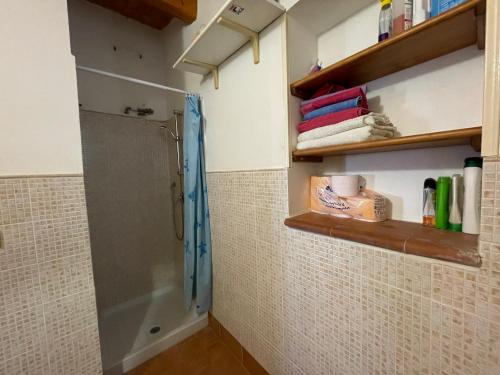 皮亚扎-阿尔梅里纳Wonderful house in the heart of Sicily的带淋浴和毛巾架的浴室