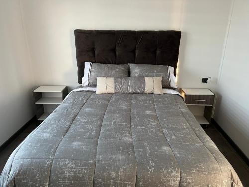 奇廉LETICE LODGE Chillán的卧室内的一张大床,带两个床头柜