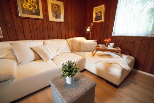 斯玛杰克托莱塞Beautiful Wooden House with Jacuzzi - Chalet Hisa Karlovsek的客厅配有白色的沙发和桌子