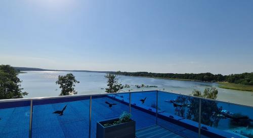博茨科沃Apartamenty Aquarius Gold Boszkowo的阳台享有海豚河景