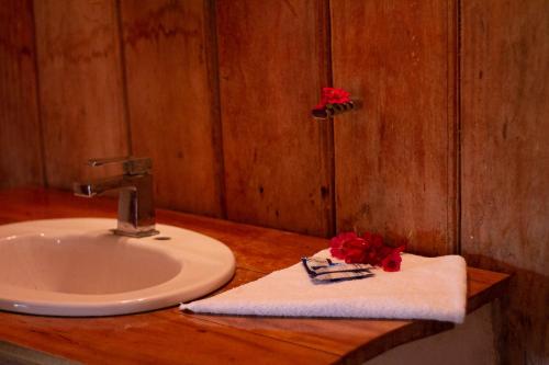 LacanjáEco Hotel Sak Nok的浴室毛巾上装有红色鲜花的水槽