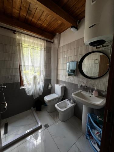 FierzëGuest House Aprripe Guri的一间带卫生间、水槽和镜子的浴室