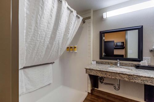 圣艾伯特圣艾伯特贝斯特韦斯特优质酒店的一间带水槽和镜子的浴室