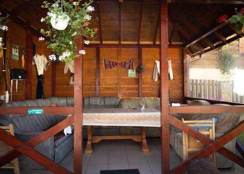 杜劳Pensiunea Novac的小屋内配有沙发和桌子的房间