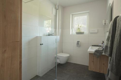 巴德哥依斯恩good-goisern hotel的白色的浴室设有卫生间和水槽。