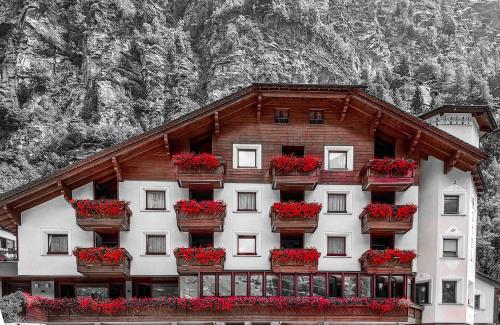 坎波多尔奇诺Alps Oriental Wellness HOTEL的一座带花盒的山楼