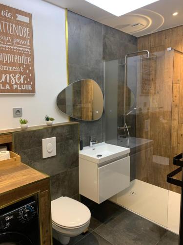 布尔日Maison face à la Cathédrale的浴室配有卫生间、淋浴和盥洗盆。