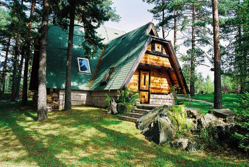 卡鲁德杰尔斯科巴尔Zeleni Čardaci etno apartmani的绿色屋顶的树林小屋