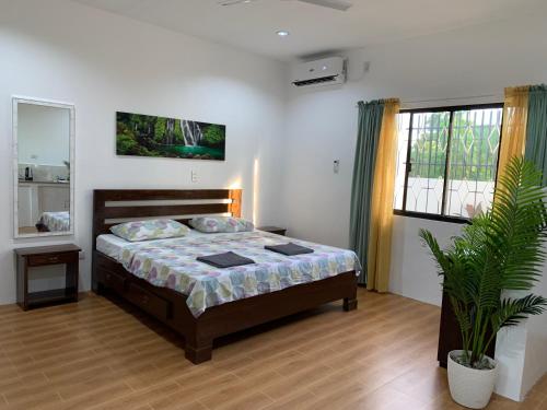 莫阿尔博阿Palm Tree Lodge的一间卧室配有一张床和盆栽植物