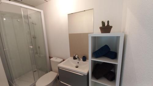 第戎Studio Privé Dijon的一间带水槽、卫生间和镜子的浴室