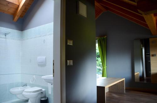 罗恩佐Hotel Villa Argentina Ronzone的一间带卫生间和水槽的浴室