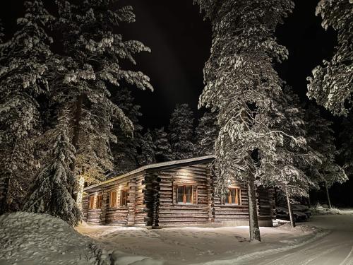 列维Cottis - Kultakettu的雪中的一个小木屋