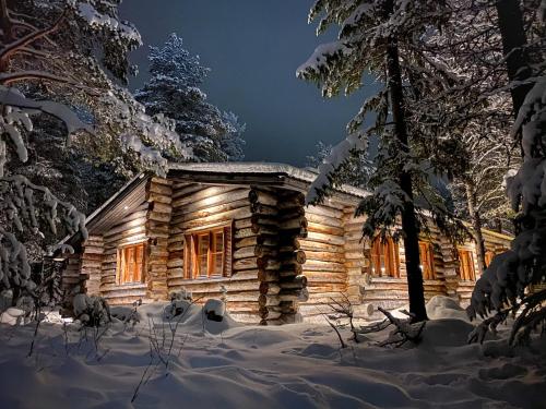 列维Cottis - Kultakettu的雪中的一个小木屋