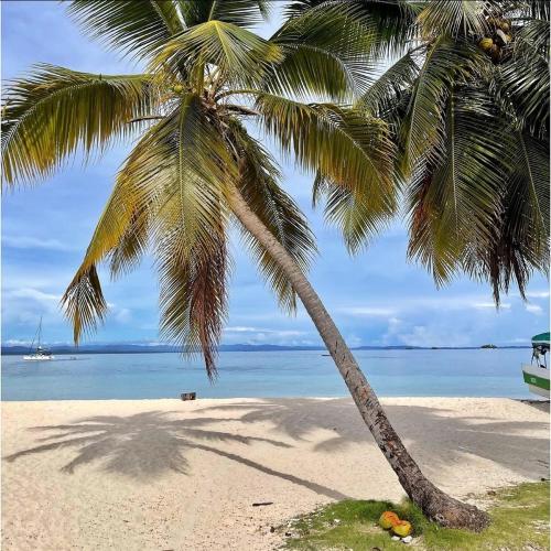 Playón ChicoArridub Island-Iguana的海滩上的棕榈树,水中有一船