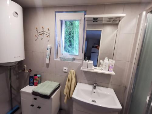 帕尔杜比采Apartmány Svítkov 79的一间带水槽、卫生间和镜子的浴室