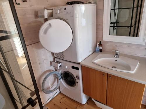 盖锡尔Adventure Eagle Cottege的小型浴室设有洗衣机和水槽。