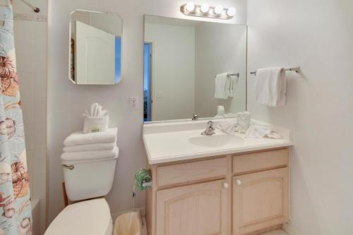 圣徒皮特海滩Amadeus 6的一间带水槽、卫生间和镜子的浴室