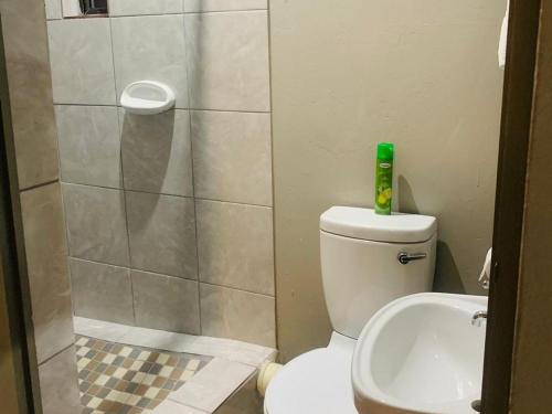 理查兹湾Xaba Guest Lodge的带淋浴、卫生间和盥洗盆的浴室