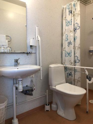 Finnåkers Bruk菲尼克库萨德酒店的一间带卫生间、水槽和镜子的浴室