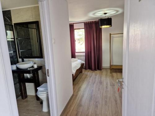 布泽乌河畔恩托尔苏拉Complex Dealu' Frumos的客房内设有带水槽和卫生间的浴室