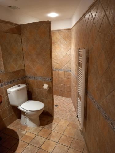 CantonigrosHostal Cabrerès的一间带卫生间和瓷砖墙的浴室