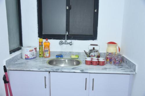 伊斯兰堡HYATT ARYANA Guesthouse 1的厨房台面上设有水槽和一些餐具