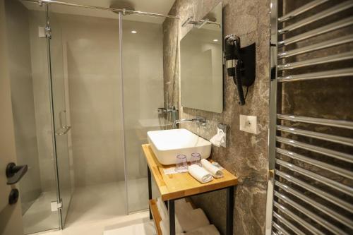 地拉那Urbanin Apartment & Hotel的一间带水槽和淋浴的浴室