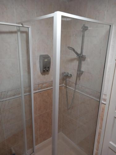 贝尔法斯特WAVENEY的浴室里设有玻璃门淋浴