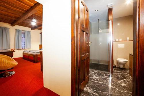 拉贝河畔罗乌德尼采Hotel Galerie的带淋浴和卫生间的浴室。
