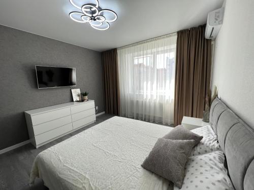 文尼察Квартира люкс на Подолье的一间卧室配有一张床,墙上配有电视
