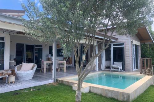 普纳奥亚Villa WABISABI cosy home的庭院中带游泳池的房子