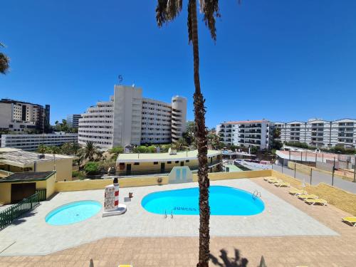 马斯帕洛马斯The SunSpot Apartment Playa del Inglés的一座棕榈树和建筑的大型游泳池