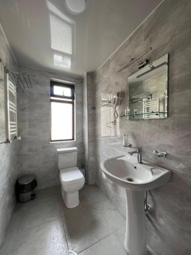 梅斯蒂亚Lileo Inn Hotel的一间带水槽、卫生间和镜子的浴室