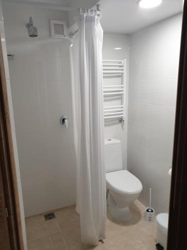 克尔茨什瓦拉乡Casa Maia的白色的浴室设有卫生间和淋浴。