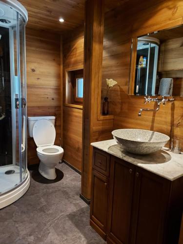 EnneyAppartement vouté en Gruyère dans l'Intyamon的一间带水槽、卫生间和淋浴的浴室