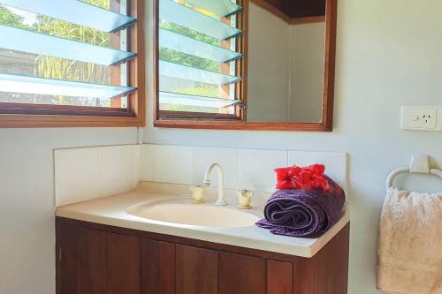 Aimbuei BayAore Hibiscus Retreat的一间带水槽和镜子的浴室