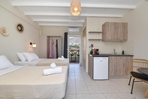 梅加斯·亚洛斯-奈特斯Glafki Studios Syros的酒店客房带两张床和厨房