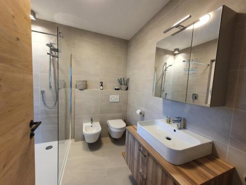博尔扎诺New Great Apartment Bolzano with 25m pool的一间带水槽、卫生间和淋浴的浴室