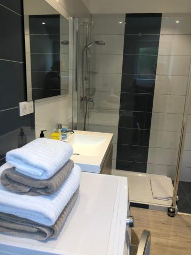 科尔马Gîte De Charme的浴室配有水槽、淋浴和毛巾
