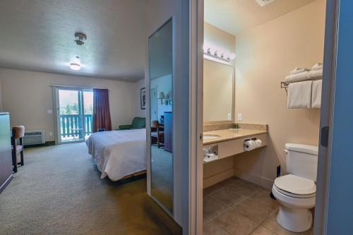 阿尔派恩飞行鞍度假酒店及牛排馆的酒店客房设有一张床和一个卫生间。